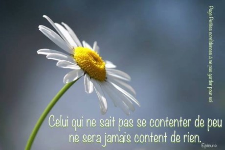 1395147_553182754758190_616035939_n