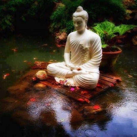 1463924_3601361169355_1070226048_n