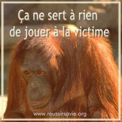 sert-rien-victime