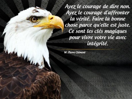 582202_410544152340069_292799331_n