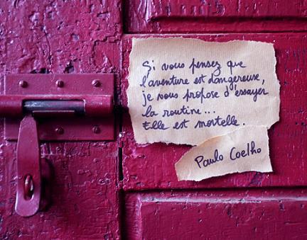coelho1