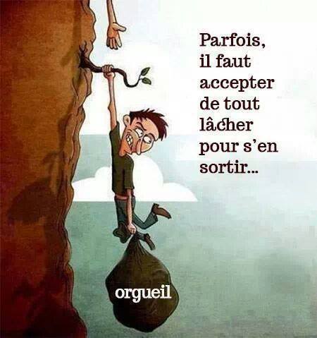 1618615_10152158006550798_203616003_n