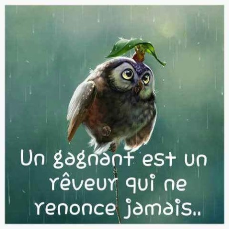 FB_IMG_1425120846412