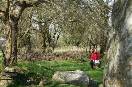 P1160079_redimensionner