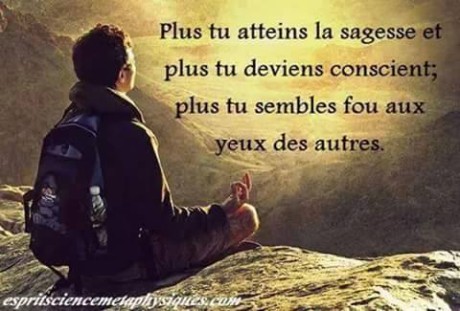 10404242_771088153023252_2232129337811023102_n