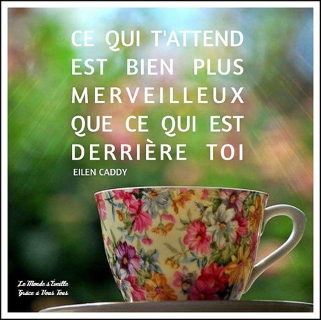 FB_IMG_1427213827305