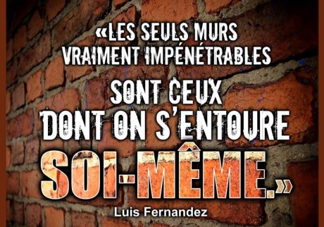 10492224_880451655343852_243972290416799885_n