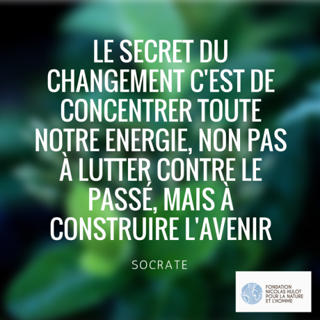 11050752_10153310522535743_6391806990102031777_n