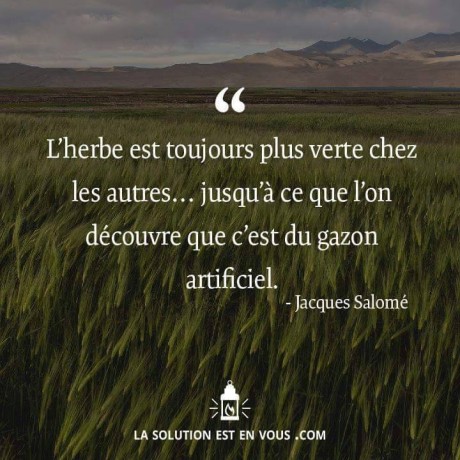 11059885_858247104210518_2818639075298600341_n