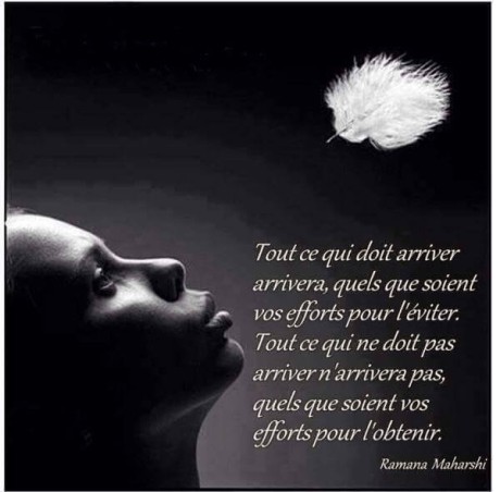 11140001_851331054902123_360753343446465509_n