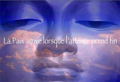 11232280_1618702821722290_6688214151682734920_n