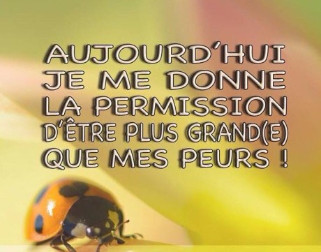 11050701_855761717851437_8023107759781011871_n