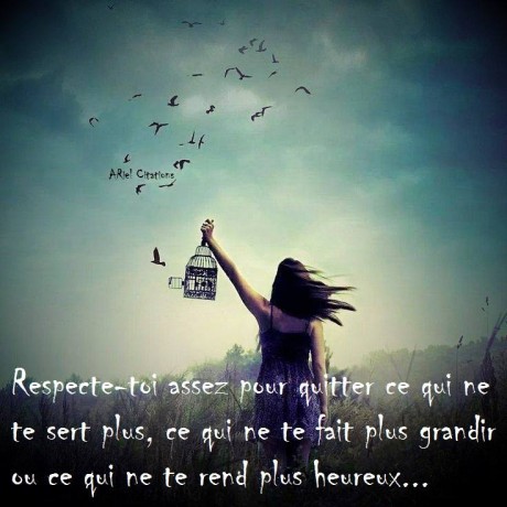 11204387_457071061117764_1838135566511554027_n