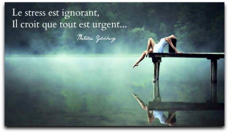 11242070_892761770763177_350355891313628331_o