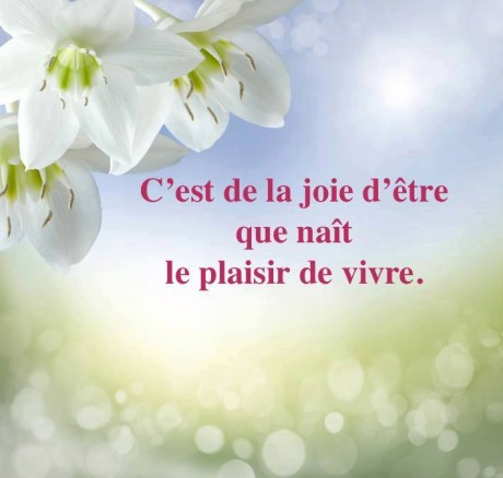 11707609_1017345474952000_1252618860311347068_n