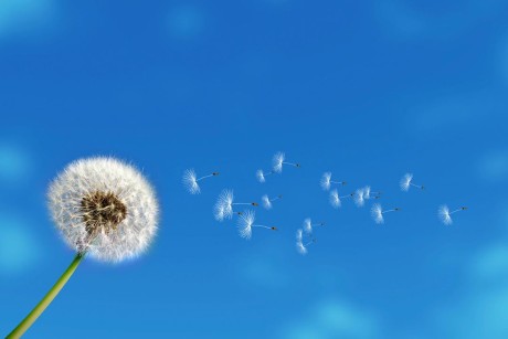 11822952_748258585299686_7699226290162074758_o