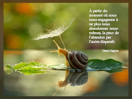 11855622_871537156267984_3403269986824600580_n