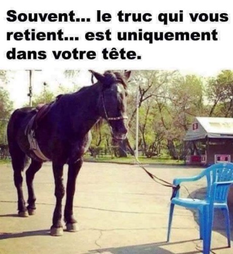 10897953_570566709763705_2075500913380270289_n