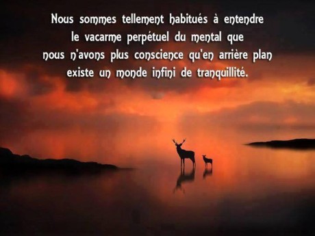 12107062_570566483097061_8877865082125676758_n