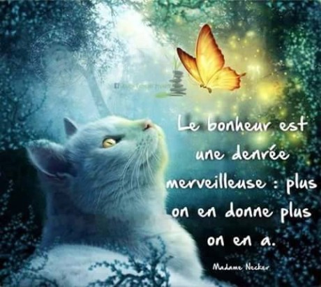 12032127_404283003105272_3123177465452161090_n