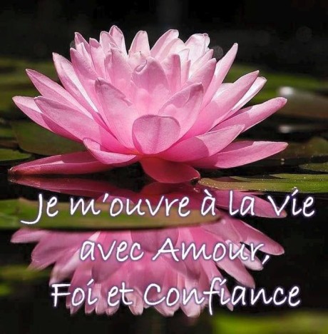 12042677_410563292477243_4911192630410499471_n