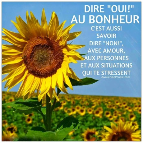 12065918_411258979074341_5971752540552799979_n