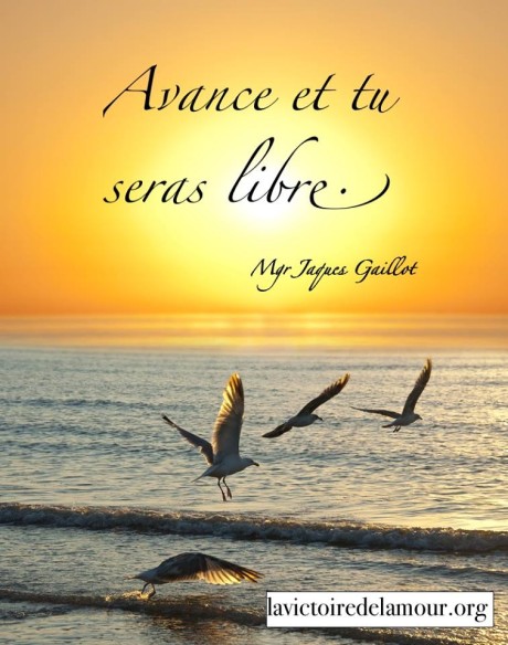 12144759_923426911046326_8196834689390126437_n