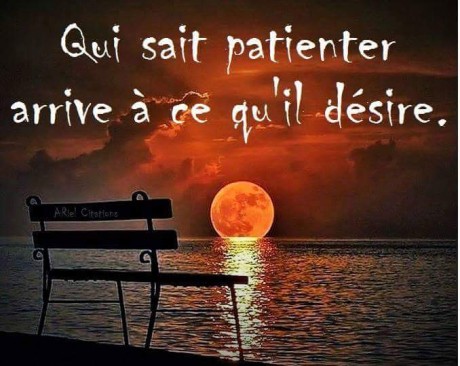 FB_IMG_1446389357497