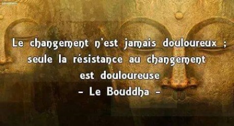 10154979_729161377184102_5282125613575194701_n