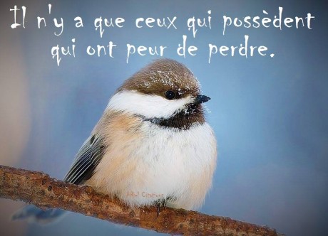 11214308_542368169254719_7425279420983655414_n