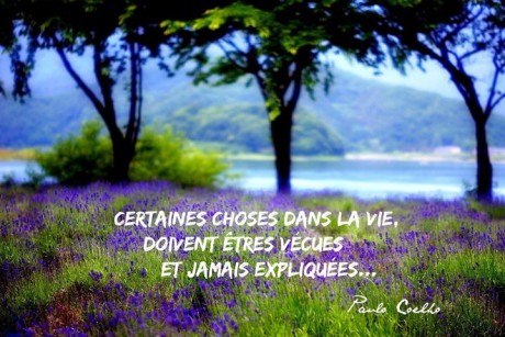 10497935_313555292139713_746112842792687394_o