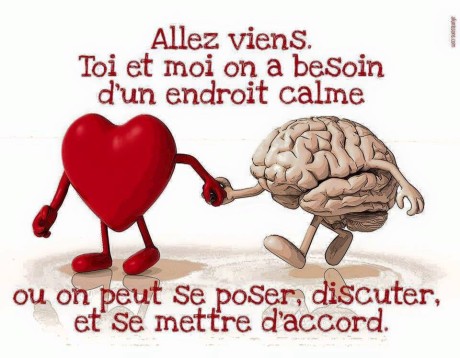 12119135_844849218980478_4298667640300341824_n