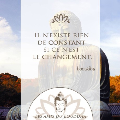 12742303_230546393955063_3154523610643704190_n