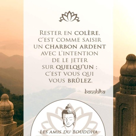 FB_IMG_1456193615793