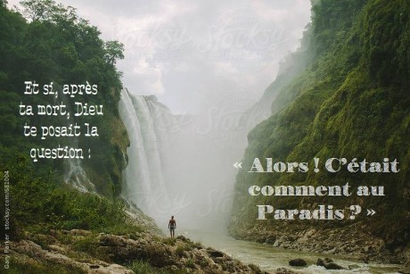 1935180_1686171521626015_1213699857152410104_n