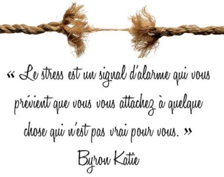 13043640_1060600287296626_4621545788266691991_n