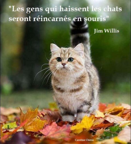 FB_IMG_1457288622015