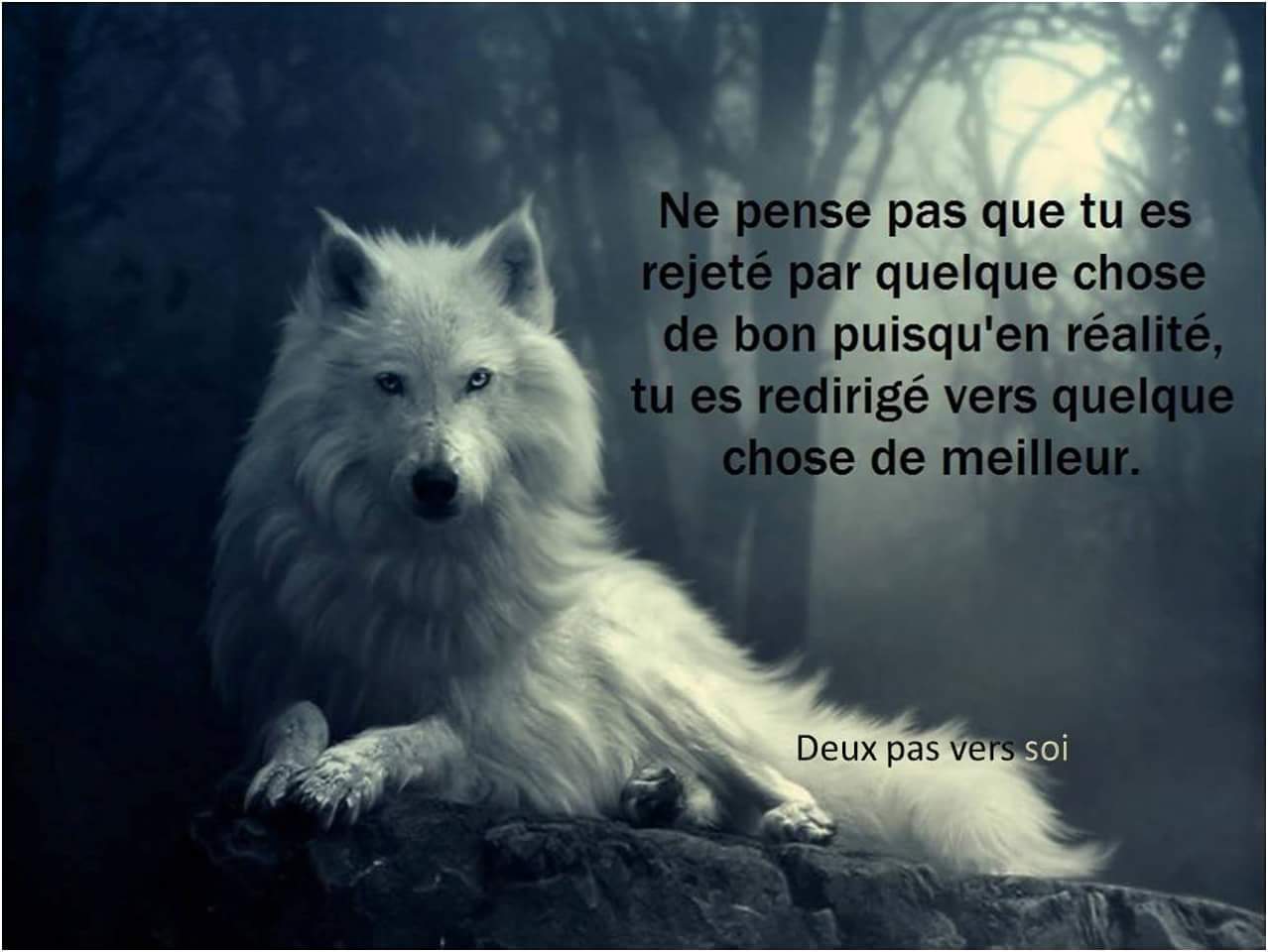 FB_IMG_1457466833986