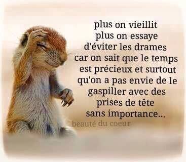 13445424_10209164117727529_8336095076898629339_n