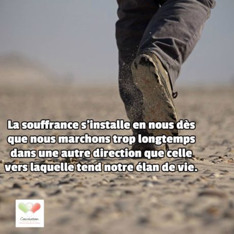 13669730_1362563513760394_4134449987069874597_n