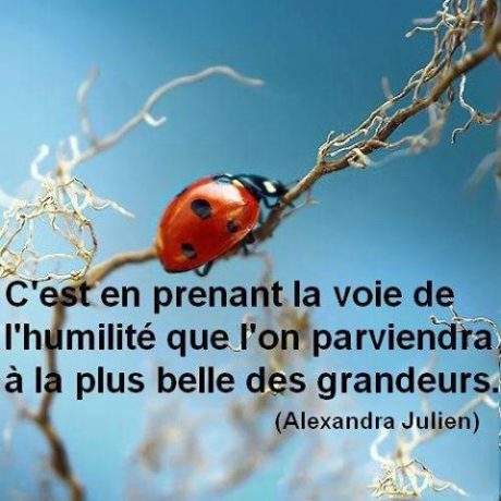 13707759_1186668728020643_1920324315761699560_n