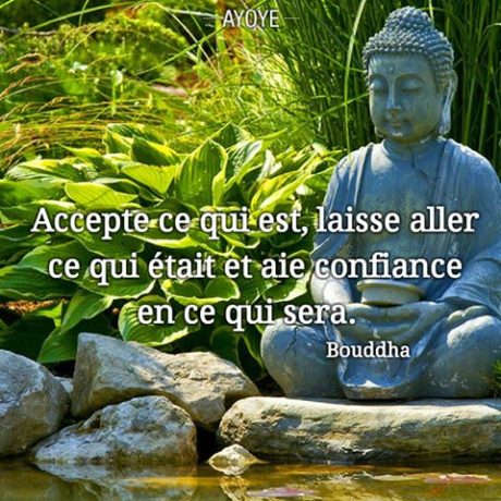 13903381_1052878234767747_2737523633291973916_n