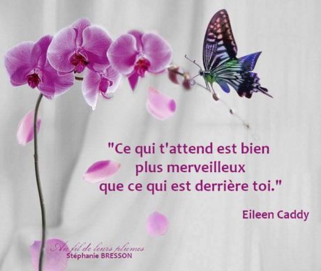 12341461_10201000897660034_7580687194804031772_n