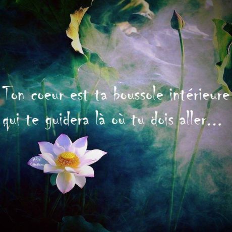 fb_img_1457603905432