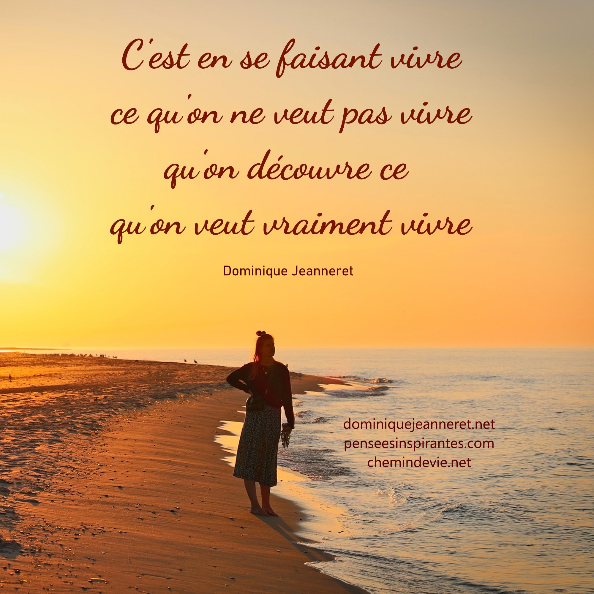 C'est en se faisant vivre ce qu'on ne veut pas vivre qu'on découvre ce qu'on veut vraiment vivre. - Dominique Jeanneret