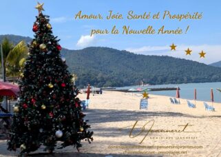 Voeux de nouvelle année de Dominique Jeanneret, 1er janvier 2025