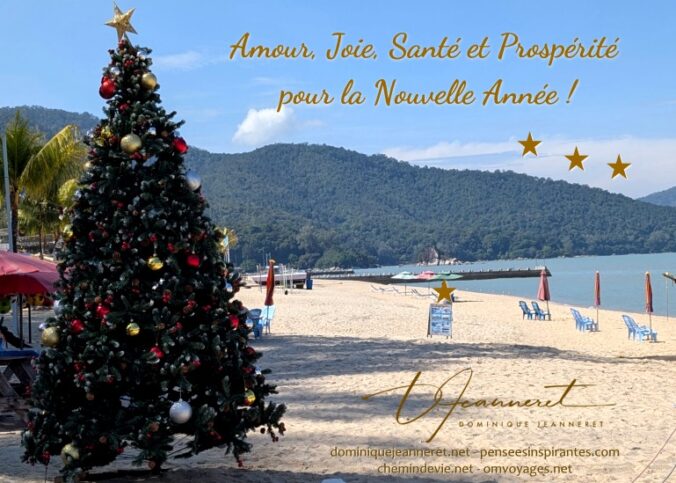 Voeux de nouvelle année de Dominique Jeanneret, 1er janvier 2025