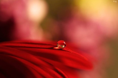 563951_162641330606618_2131878925_n